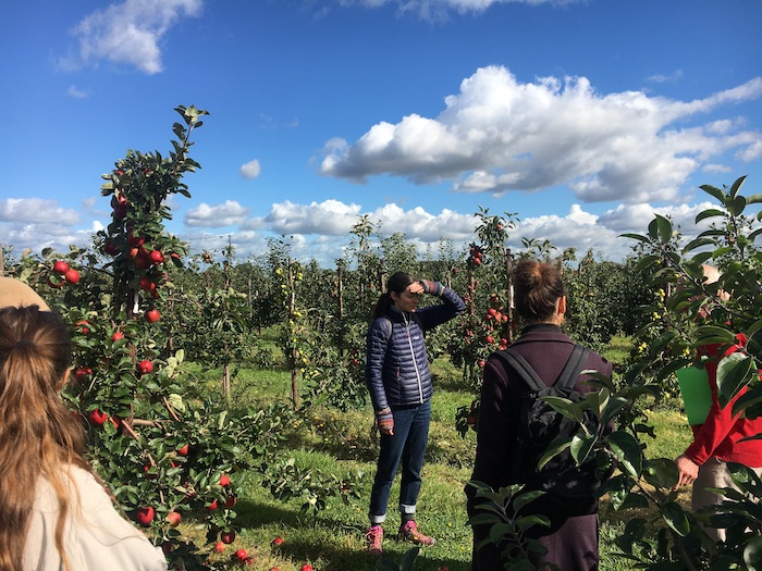 C2C team members standing in an orchard
