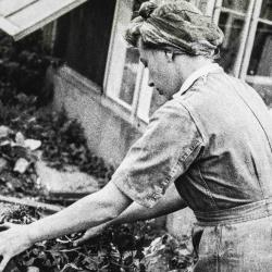 An image of a woman leaning over plants