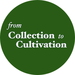 From Collection to Cultivation Logo