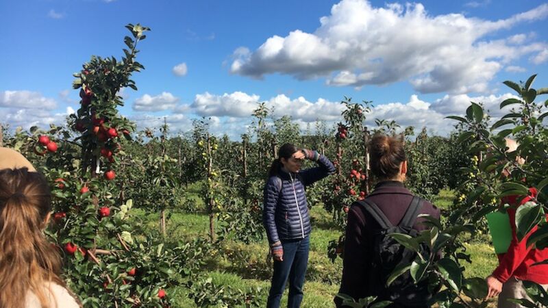 C2C team members standing in an orchard