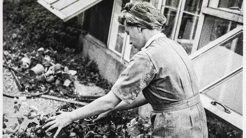 An image of a woman leaning over plants