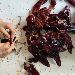 Hands deveining dried chile peppers and a pile of deep red chiles