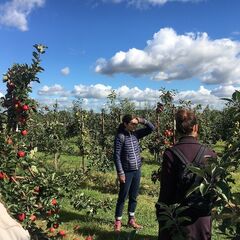 C2C team members standing in an orchard