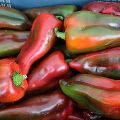 Pile of reddish green pimento-like peppers
