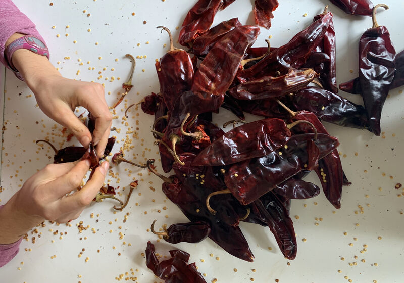 Hands deveining dried chile peppers and a pile of deep red chiles