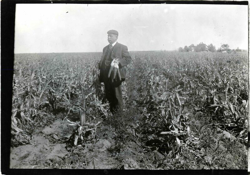 A black and white photo of a man standing in a field of corn, holding an ear of corn in his hands