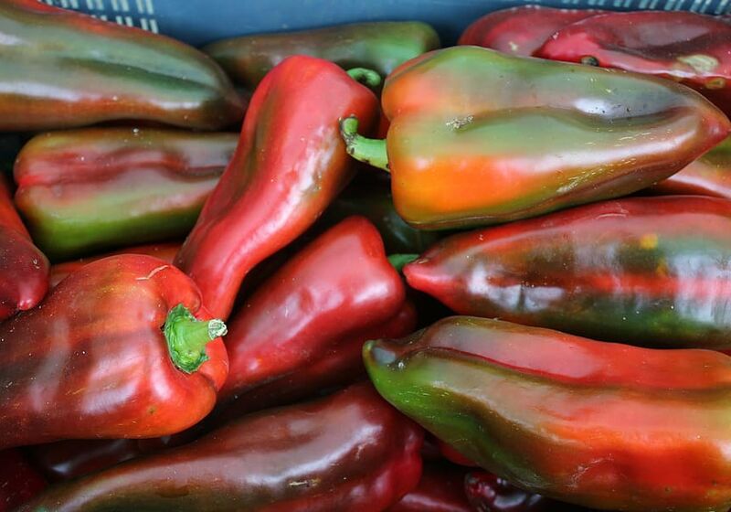 Pile of reddish green pimento-like peppers