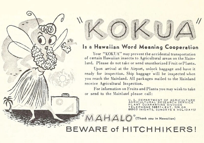 A USDA notice featuring Pestina, wearing a grass skirt and lei