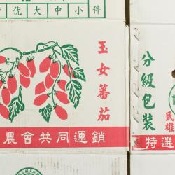 Cardboard box used to pack cherry tomatoes produced in Minxiong, Southern Taiwan