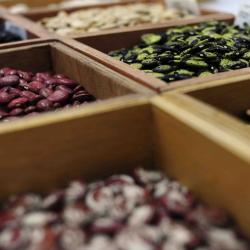 A picture of seeds in a tray