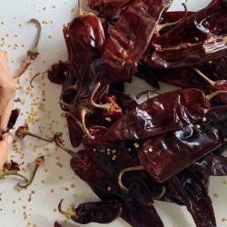 Hands deveining dried chile peppers and a pile of deep red chiles