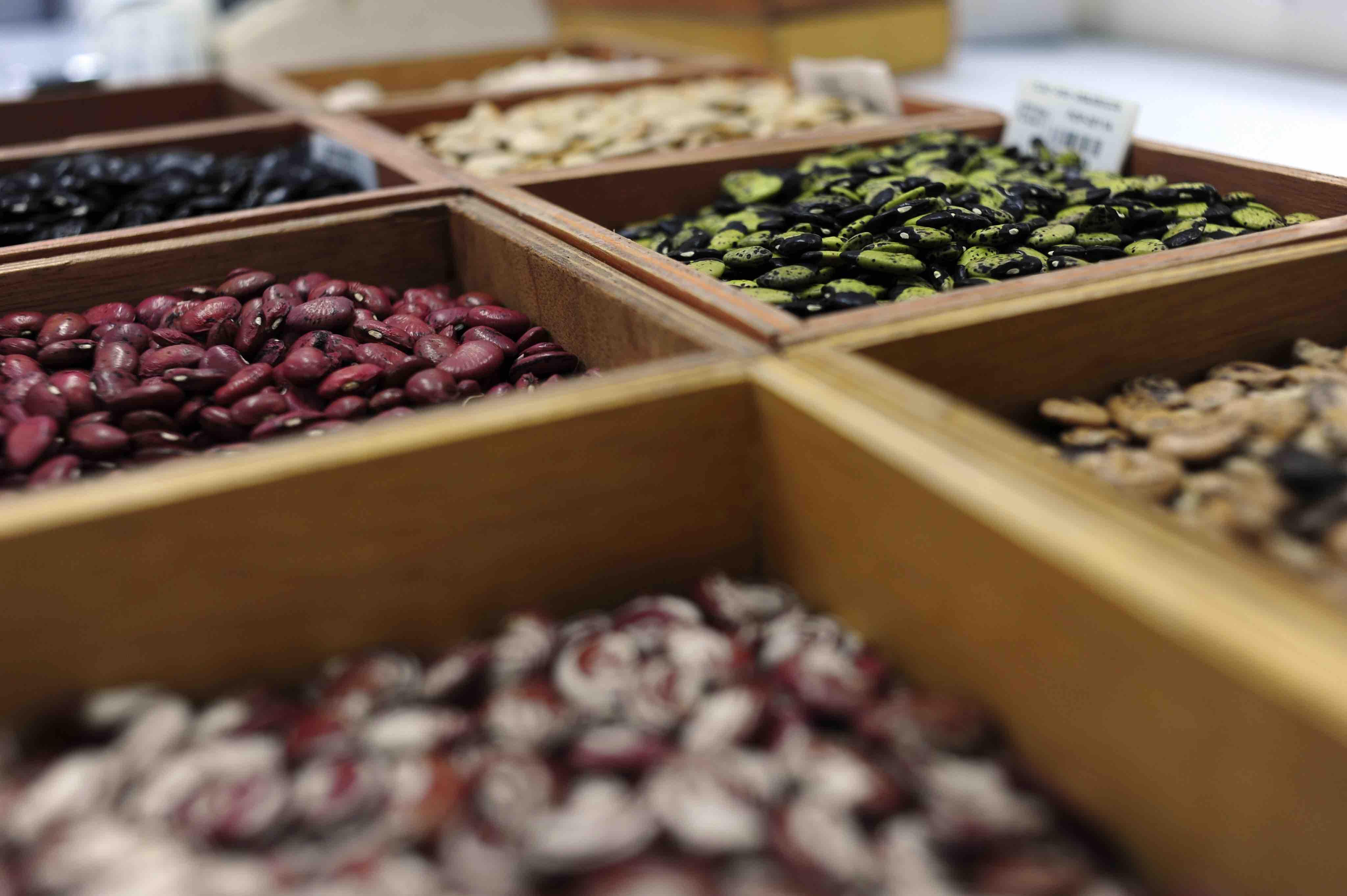 A picture of seeds in a tray