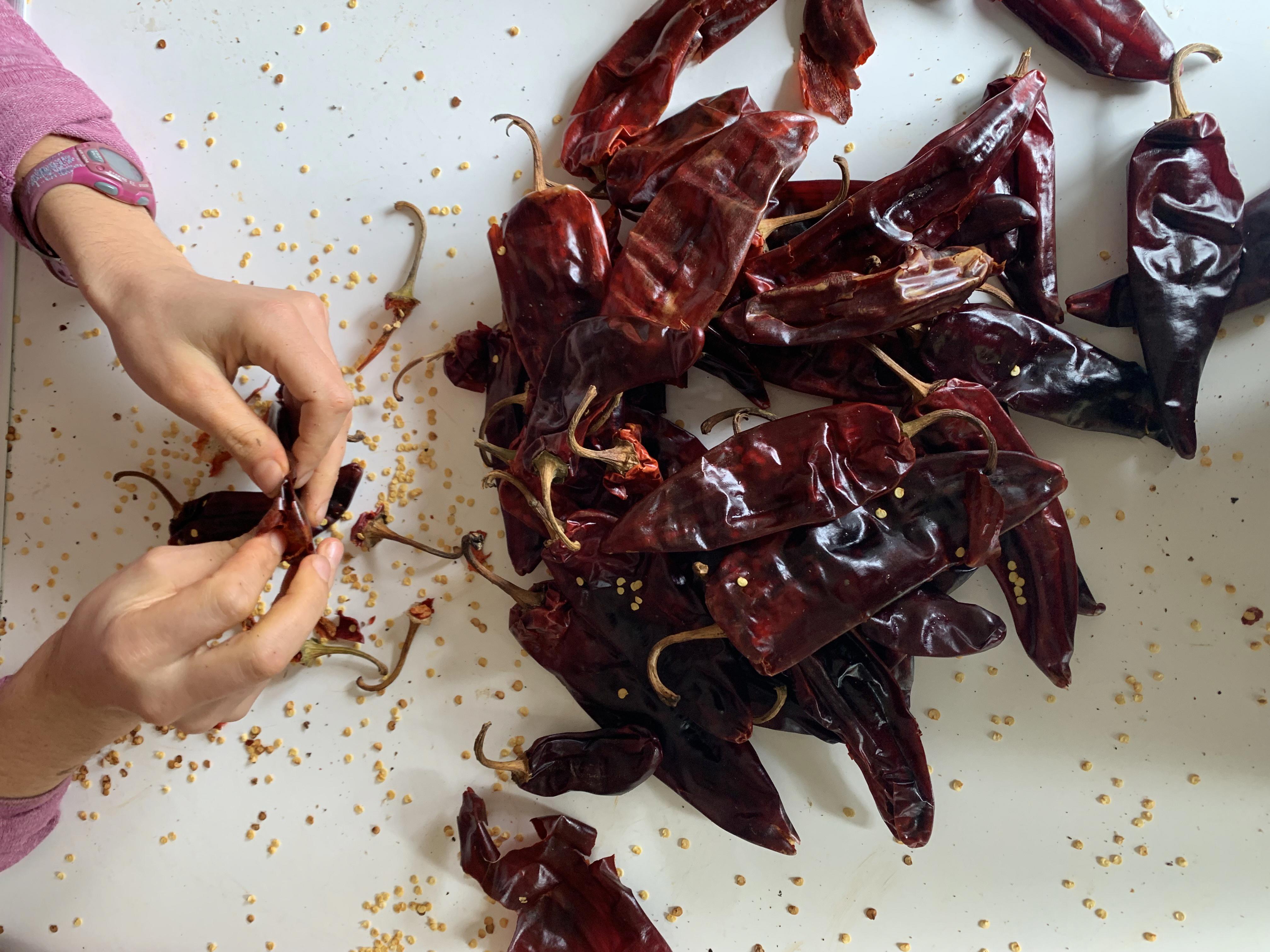 Hands deveining dried chile peppers and a pile of deep red chiles