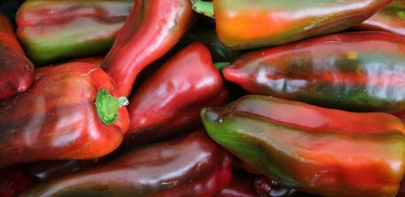 Pile of reddish green pimento-like peppers